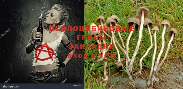 mix Тында