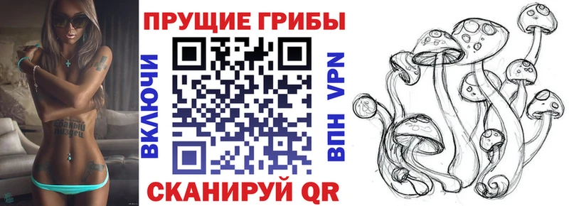 Купить закладки  Спасск-Рязанский  Галлюциногенные грибы GOLDEN TEACHER 